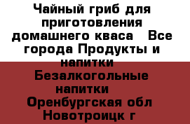 Чайный гриб для приготовления домашнего кваса - Все города Продукты и напитки » Безалкогольные напитки   . Оренбургская обл.,Новотроицк г.